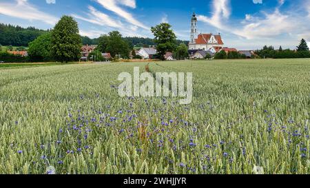 Wallfahrtskirche in Steinhausen bei Bad Schussenried Stockfoto