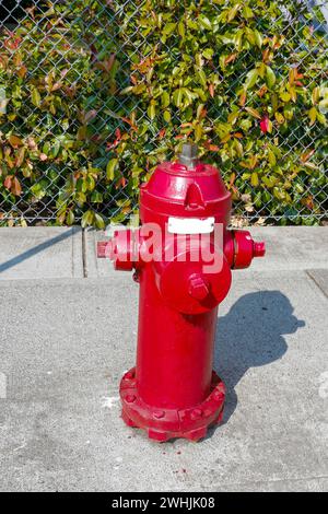 Alter roter Hydrant auf der Straße in der Nähe des Gartens Stockfoto