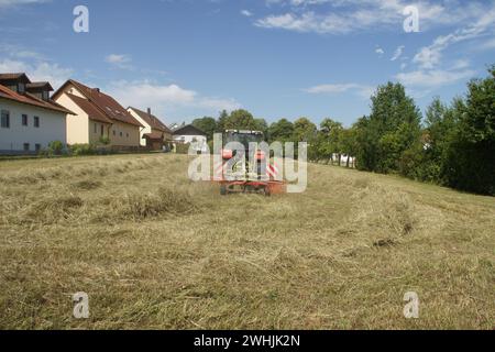 Heutedder Stockfoto