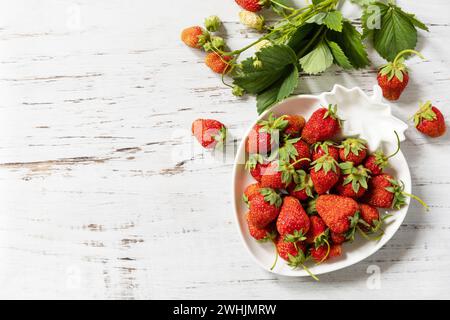 Erntehintergrund. Bio-Bauernmarkt. Schüssel mit Reifen, frisch geernteten roten Erdbeeren auf einem weißen rustikalen Tisch. Ansicht von abo Stockfoto
