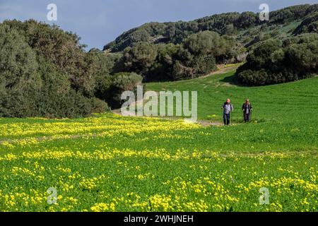 Wanderer auf dem Pferdeweg Stockfoto