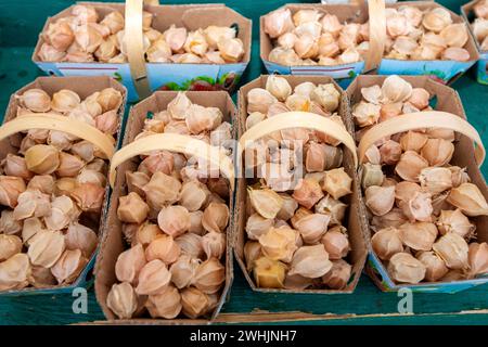 Schließen Sie einen Stapel goldener Beeren (Physalis) an einem Marktstand. Stockfoto