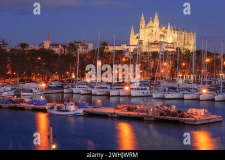 Kathedrale von Mallorca vom Pier der Riba Stockfoto