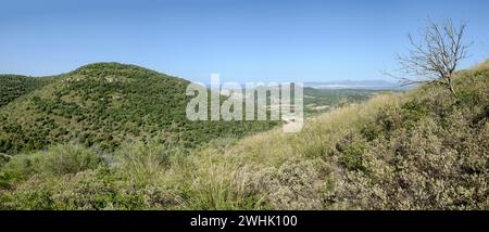 Wandern im Puig de Cura Stockfoto