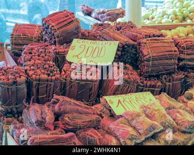 Durvillaea antarctica, auch bekannt als cochayuyo, ist eine große, robuste Stierseetangart und die dominante Alge in Chile Stockfoto