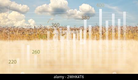 Steigende weltweite Krise der Getreide- und Weizenpreise. Analysedaten und Wachstumsdiagramme Stockfoto