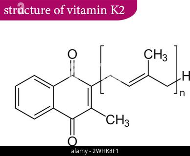 Allgemeine Struktur von Vitamin K2 .Vektorillustration. Stock Vektor