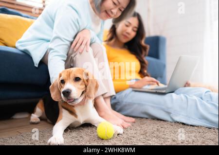 Familienurlaub, Mutter, Tochter und Beagle Hündchen, die sich am Wochenende im Freizeitraum des Hauses entspannen Stockfoto