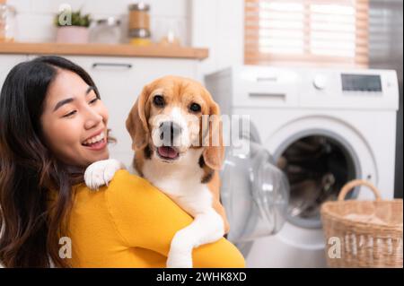 Beagle-Hund starrte auf die Kamera in den Armen des Besitzers, während die Mutter Kleidung in die Waschmaschine legte Stockfoto