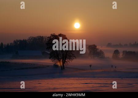 Die untergehende Sonne taucht eine schneebedeckte Winterlandschaft mit Bodennebel in rötliches Licht, Bauernhof, Voralpenländer, Oberbayern, Bayern, Deutschland Stockfoto