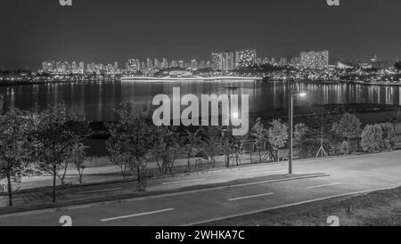 Schwarzweiß-Foto des städtischen Seenparks in Südkorea mit Skyline im Hintergrund, aufgenommen bei Nacht Stockfoto