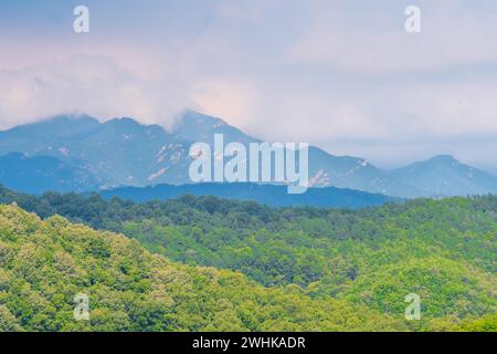 Landschaft der bewaldeten Bergregion mit üppig grünen Wäldern im Vordergrund und schwingenden Wolken über Bergen im Hintergrund Stockfoto