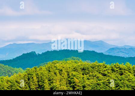 Landschaft der bewaldeten Bergregion mit üppig grünen Wäldern im Vordergrund und schwingenden Wolken über Bergen im Hintergrund Stockfoto