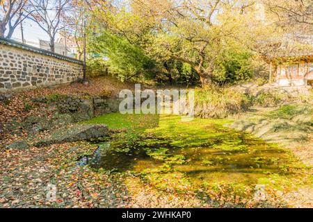 Landschaft eines kleinen Teichs bedeckt mit grünen Algen in einem städtischen öffentlichen Park in Daejeon, Südkorea, getrennt von der Straße durch eine Steinmauer mit großen Bäumen Stockfoto