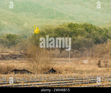 Hohe Statue des goldenen buddhas, die über einem immergrünen Baumhain thront, an bewölktem Tag auf dem Land Stockfoto