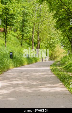 Betonwanderweg in einem bewaldeten öffentlichen Park, umgeben von üppigen grünen Bäumen und hohem Gras an einem sonnigen Frühlingnachmittag Stockfoto