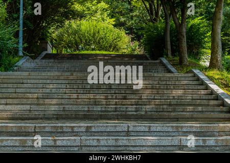 Flacher Blick auf die Betontreppe, die in den Waldpark führt, am sonnigen Nachmittag in Südkorea Stockfoto