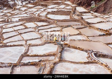 Salineras de Maras oder Salzminen von Maras, Region Cusco, Peru Stockfoto