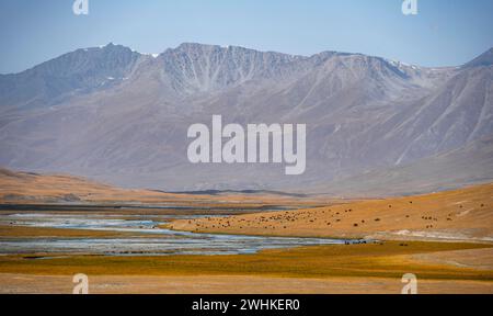 Burkhan Bergtal mit Fluss, karge dramatische Berglandschaft, Terskey Ala-Too, Tien Shan, Issyk Kul Provinz, Kirgisistan Stockfoto