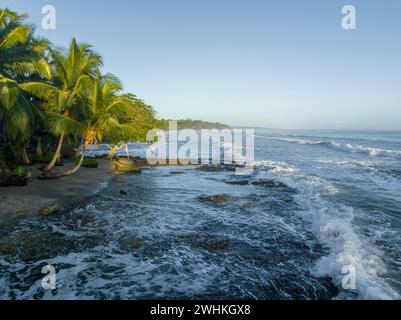 Karibikstrand, Küste von Cahuita, Limon, Costa Rica Stockfoto