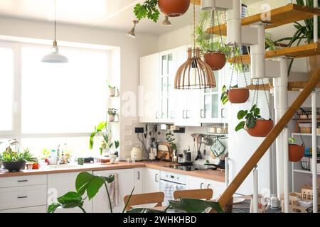 Das Innere einer weißen Küche mit einer Metalltreppe in einem Ferienhaus mit Topfpflanzen in hängenden Pflanzgefäßen. Gewächshaus in einem Mod Stockfoto