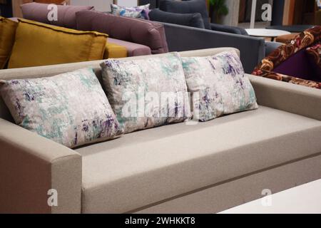 Poster über weißem Schrank mit Pflanze neben grauem Sofa in einfachen Wohnzimmer-Interieur. Echtes Foto Stockfoto