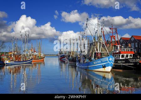 Der alte Hafen von Neuharlingersiel, Ostfriesland, Inselfähre nach Spiekeroog, Fähre, Fischerboote, Garnelenschneider, Angelschneider, Cutter Regatta Stockfoto