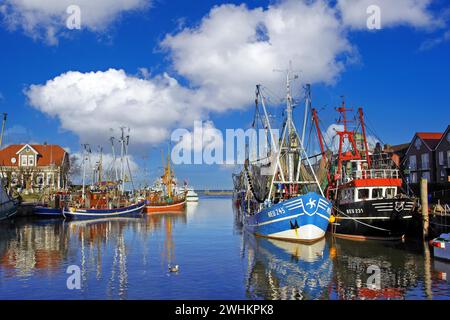 Der alte Hafen von Neuharlingersiel, Ostfriesland, Inselfähre nach Spiekeroog, Fähre, Fischerboote, Garnelenschneider, Angelschneider, Cutter Regatta Stockfoto