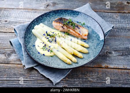 Traditioneller gedämpfter weißer Spargel mit Lachsfilet und Sauce Hollandaise, serviert als Nahaufnahme auf einem Design-Teller mit Kopie Spac Stockfoto