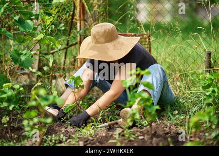 Müde Gärtnerin mit Hut und Handschuhen auf dem Boden bereitet den Boden für den Setzling vor. Harte Gartenarbeit Stockfoto