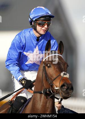 Beau Morgan fährt auf dem Platenium auf der Newbury Racecourse, Berkshire. Bilddatum: Samstag, 10. Februar 2024. Stockfoto