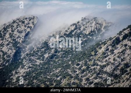 Nebel über Sierra de Cuber Stockfoto