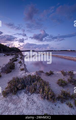 Parc Natural de Ses Salines dâ€™Eivissa i Formentera Stockfoto