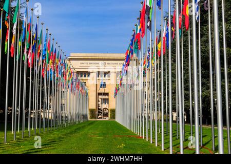 Reihen der Mitgliedsflaggen der Vereinten Nationen vor dem Palast der Vereinten Nationen in Genf, Schweiz Stockfoto