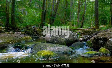 Steine in einem Bach im Wald. Erschossen in Schweden, Skandinavien Stockfoto