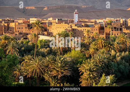 Oase de Tineghir Stockfoto