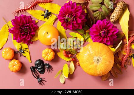 Kreatives halloween-Konzept im Hintergrund. Halloween-Hintergrund mit Kerzen, Kürbissen, lila Blumen, Herbstlaub. Blick von oben Stockfoto