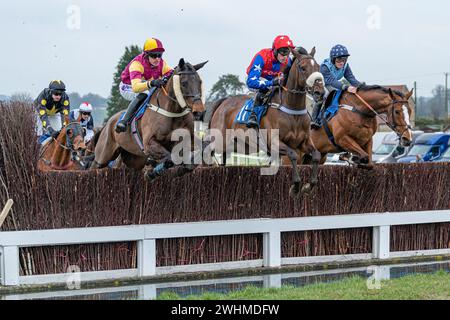 Viertes Rennen in Wincanton am 2. März 2022 Stockfoto