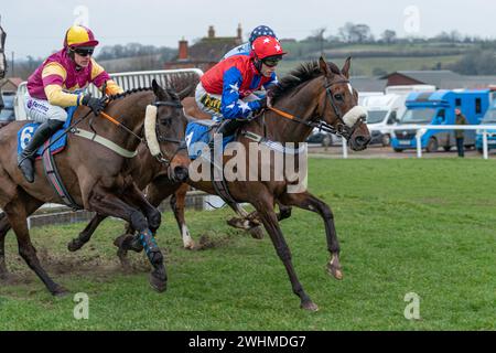 Viertes Rennen in Wincanton am 2. März 2022 Stockfoto