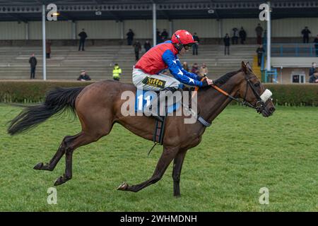 Viertes Rennen in Wincanton am 2. März 2022 Stockfoto