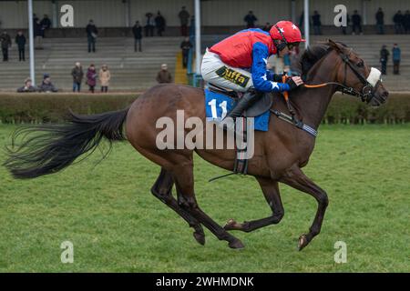 Viertes Rennen in Wincanton am 2. März 2022 Stockfoto