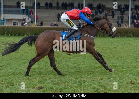 Viertes Rennen in Wincanton am 2. März 2022 Stockfoto