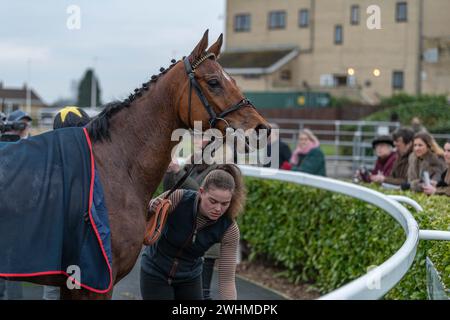 Viertes Rennen in Wincanton am 2. März 2022 Stockfoto