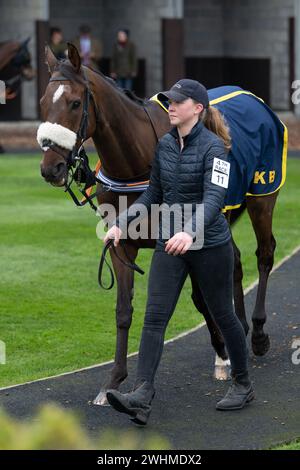 Viertes Rennen in Wincanton am 2. März 2022 Stockfoto