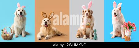 Set von niedlichen Hunden mit Ostereiern auf farbigem Hintergrund Stockfoto