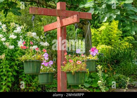 Bellevue, Washington, USA. Hängende Töpfe mit Petunien Stockfoto