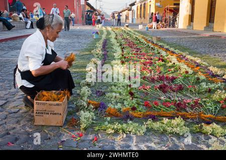 Antigua, Guatemala. Frau, die einen Alfombra (Teppich) aus Blumen, Kiefernnadeln und anderen traditionellen Materialien veredelt Stockfoto