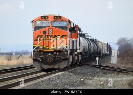 Stanwood, WA, USA – 7. Februar 2024; BNSF-Mischgutzug mit Lokomotive ES44DC mit Logo Stockfoto