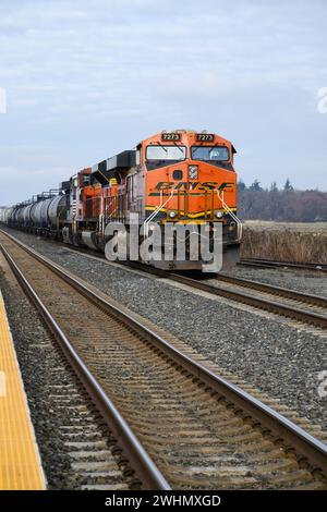 Stanwood, WA, USA – 7. Februar 2024; Güterzug mit gemischtem Güterverkehr, geleitet von BNSF-Dieselmotor ES44DC mit Logo Stockfoto