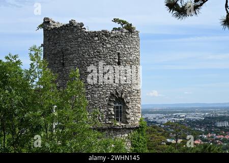 Künstliche Ruine des schwarzen Turms, Österreich Stockfoto